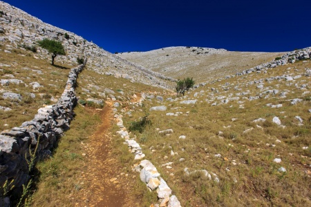 Suhozidi