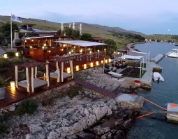 Vitae nibh vel